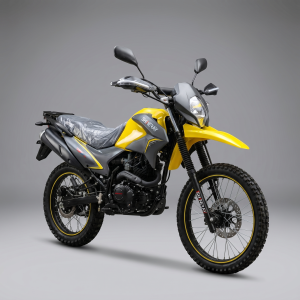 Moto Cross SHINERAY 200