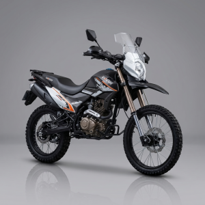 Moto Cross SHINERAY 250